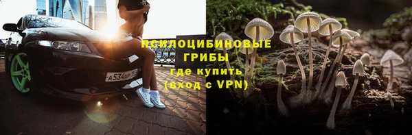 PSILOCYBIN Навашино
