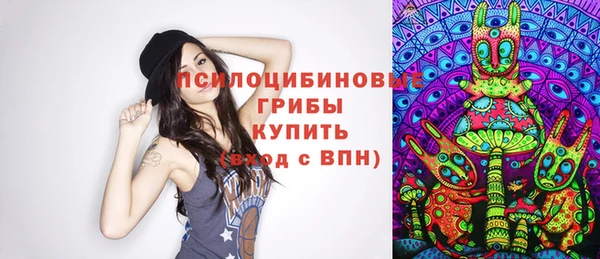 PSILOCYBIN Навашино