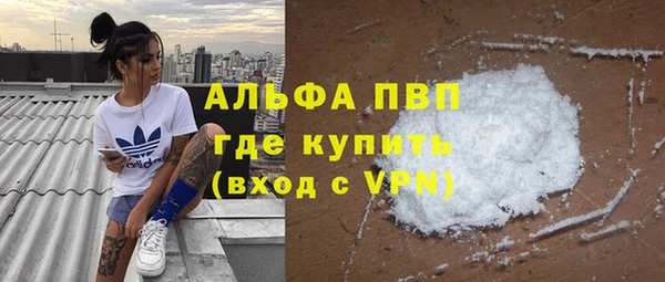 PSILOCYBIN Навашино