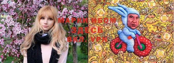 PSILOCYBIN Навашино