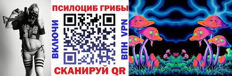 Купить где  Набережные Челны  Галлюциногенные грибы Cubensis 
