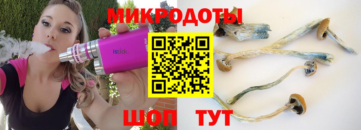 Галлюциногенные грибы мицелий Набережные Челны